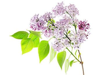 《切尔诺贝利人》开头20分钟演示 PC版现已发售